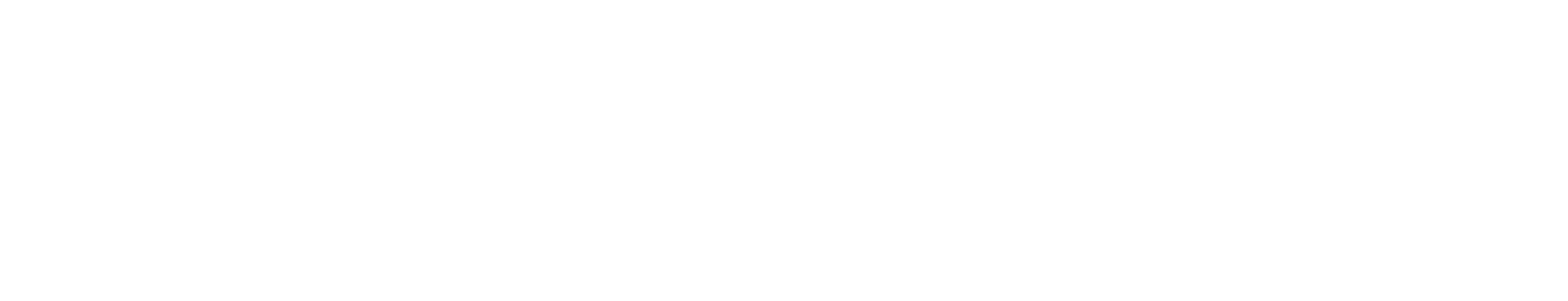 Forex Funds Flow Logo